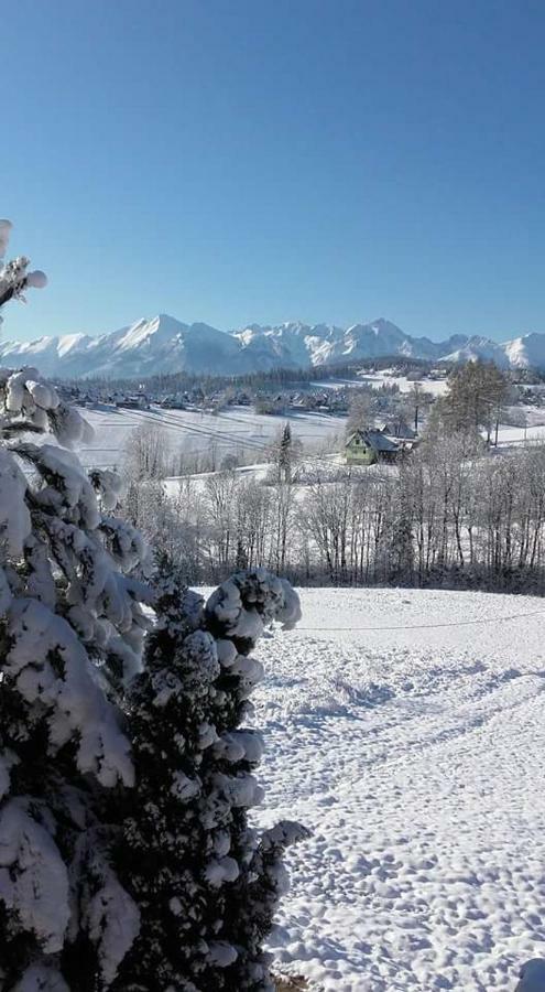 הוילה בוקוווינה טטז'אנסקה Agrotatry U Stachy מראה חיצוני תמונה