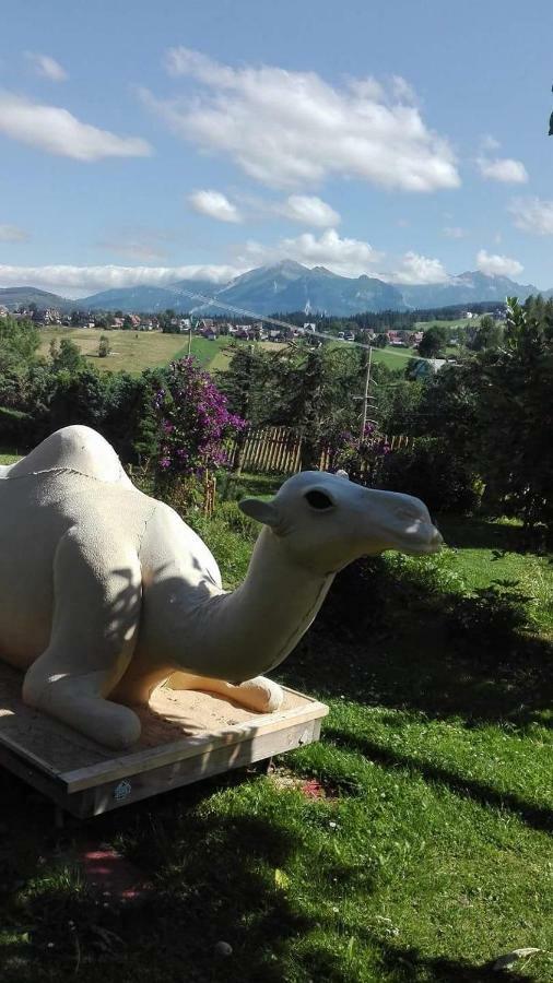 הוילה בוקוווינה טטז'אנסקה Agrotatry U Stachy מראה חיצוני תמונה